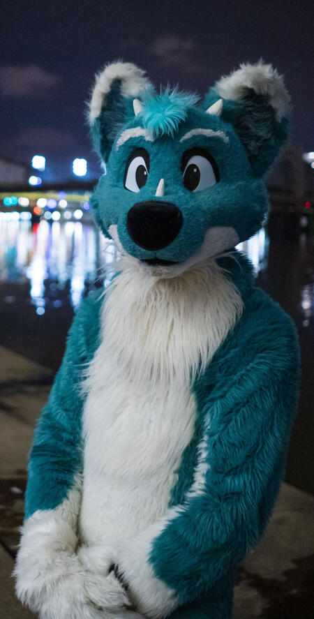 Photo by Finnish Fox